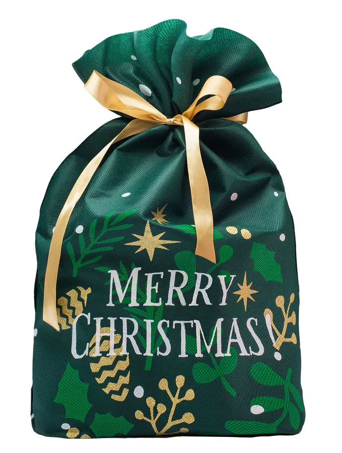 Sacchetti per panettone in TNT Merry Christmas verde