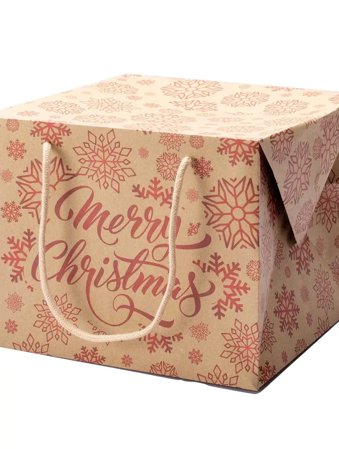 Scatole Bag Box natalizie avana Merry Christmas