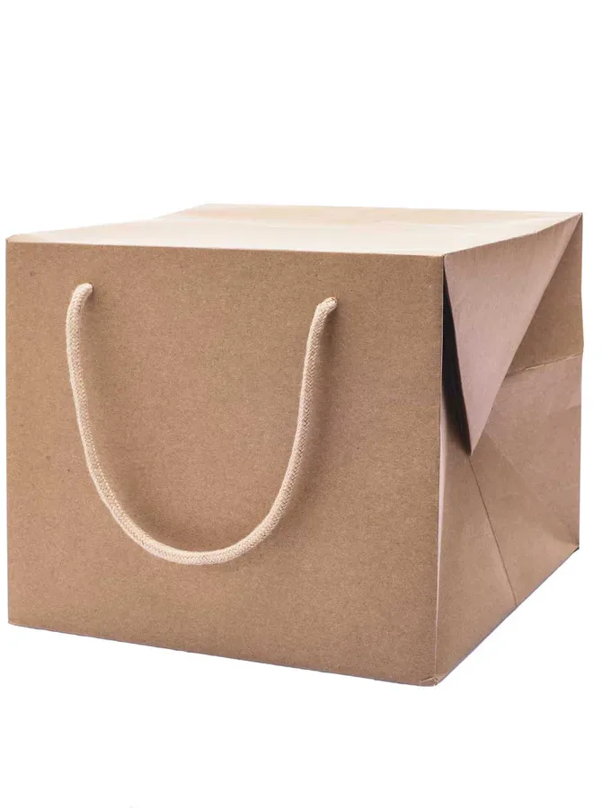 Scatole Bag Box avana