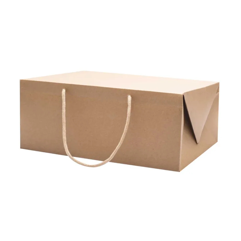 Scatole Bag Box porta Colomba avana