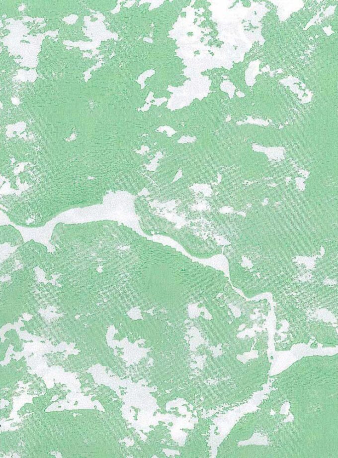 Carta Pelleaglio spatolata Verde