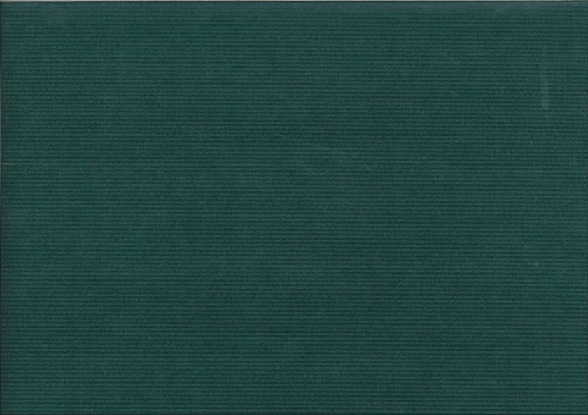 25 Fogli Carta regalo Sealing Avana Colorata verde