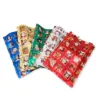 Bustine Regalo fantasie natalizie assortite