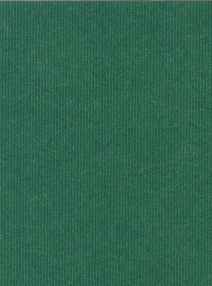 Carta regalo Sealing Verde 100x140 cm