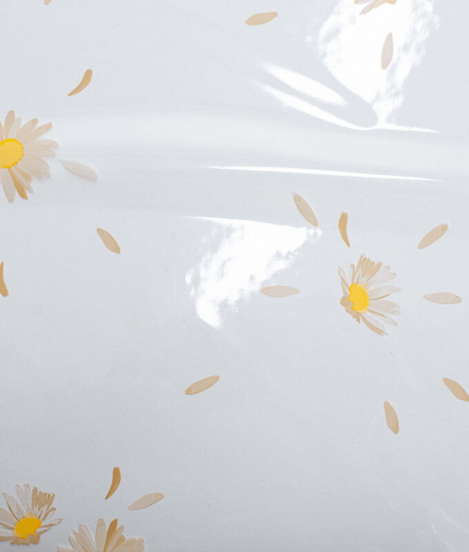 Fogli Cellophane con stampa Margherite