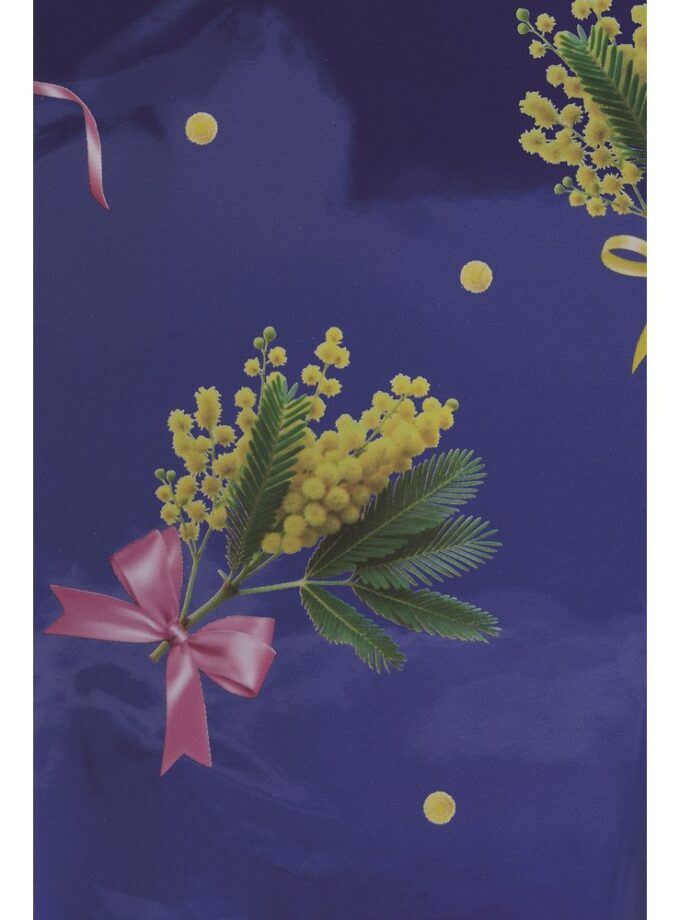 Coni per mimosa Chanelle Blu