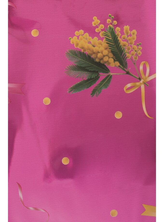 Coni per mimosa Chanelle Rosa