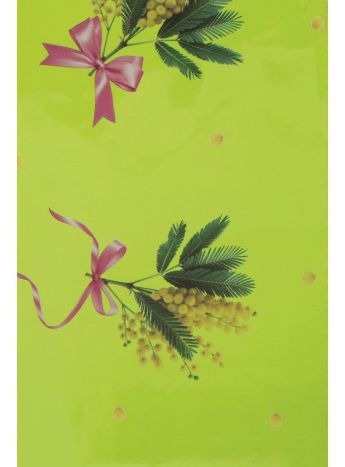 Coni per mimosa Chanelle verdi